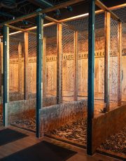 Axeclusive the Vr lounge